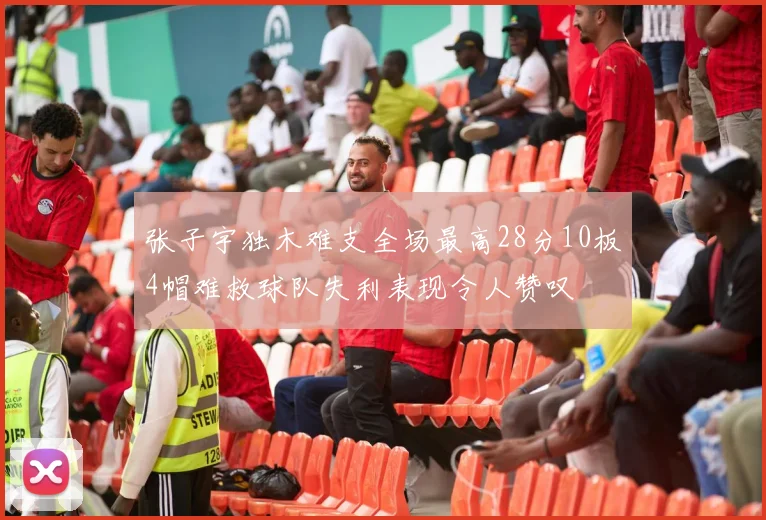 张子宇独木难支全场最高28分10板4帽难救球队失利表现令人赞叹